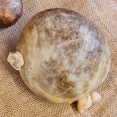 Fresh Handmade Smiddy Haggis