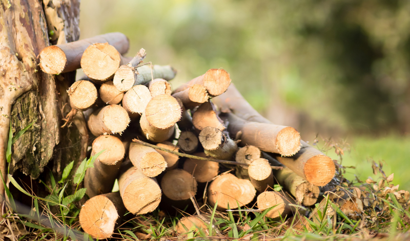 Local Firewood Logs - Small bags