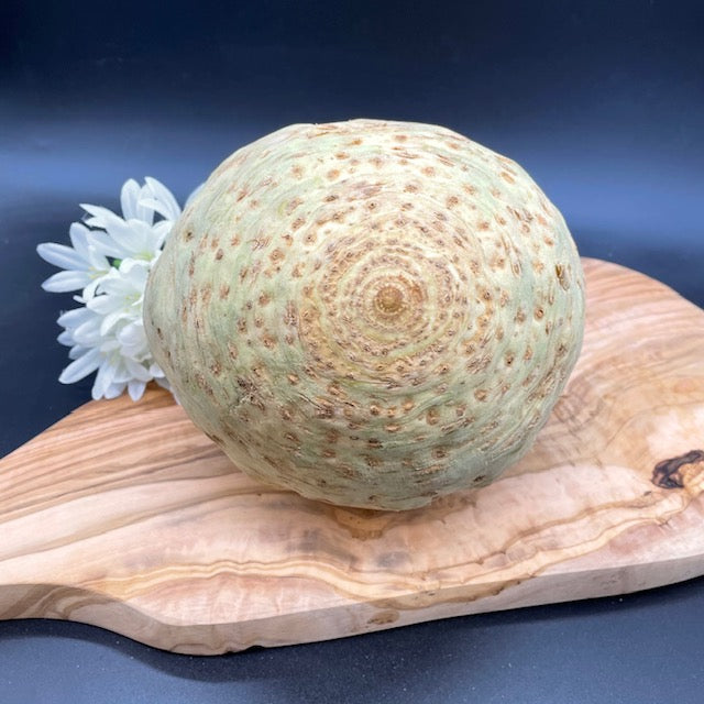 Celeriac