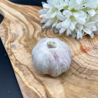 Garlic Bulb