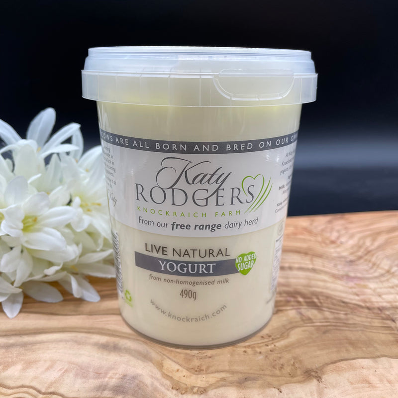 Katy Rodgers Natural Yogurt